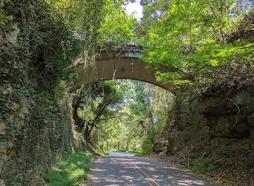 north-carolina/asheville/attraction/zealandia-s-bridge-helen-s-bridge