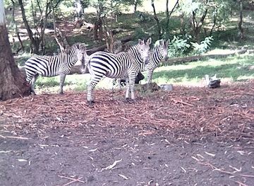 zambia/south-luangwa-national-park/attraction/mweru-wantipa-national-park