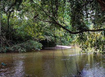 ecuador/amazon/attraction/jungle-expeditions-lodge-tours