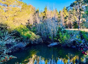australia/new-england/attraction/armidale-pine-forest