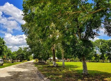 belize/orange-walk-town/attraction/mahogany-park