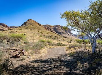 namibia/namib-naukluft-national-park/attraction/naukluft-olive-trail