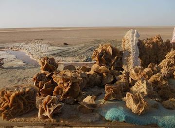 tunisia/the-djerid/attraction/chott-el-jerid