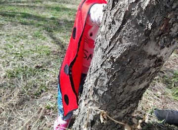 georgia/vardzia/attraction/tamari-mepis-bakhi