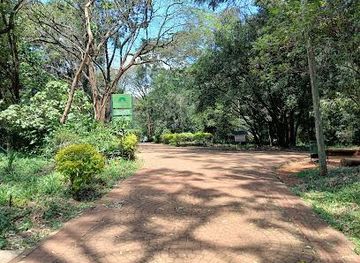 kenya/nairobi/attraction/the-nairobi-arboretum