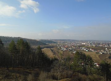 romania/suceava/attraction/padurea-zamca