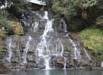 india/shillong/laitumkhrah/attraction/upper-shillong-forest