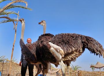 egypt/siwa-oasis/attraction/sobek-park