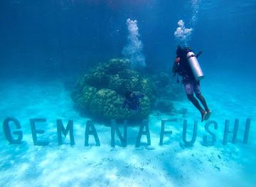 maldives/gnaviyani-atoll/attraction/underwater-coral-garden