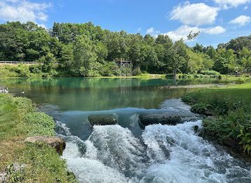 Mammoth Spring State Park