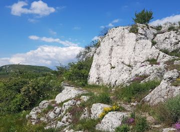 czechia/palava/attraction/kocici-skala