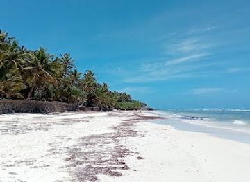 kenya/coastal-region/attraction/kongo-river-diani