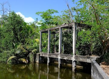 puerto-rico/west-region/attraction/humacao-nature-preserve
