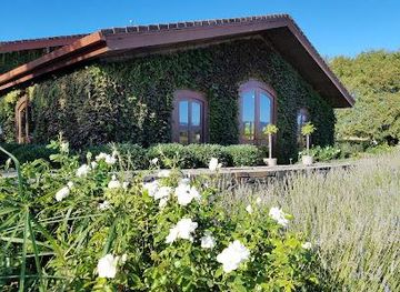 california/napa/attraction/pestoni-family-estate-winery