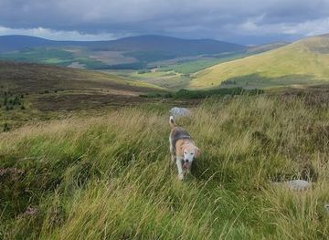 ireland/wicklow-mountains/attraction/fair-mountain