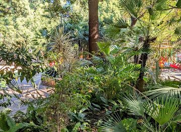 spain/marbella/attraction/el-bosque-cosmopolita