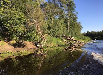 estonia/alutaguse/attraction/alam-pedja-reserve