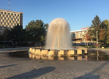 romania/galati/attraction/the-dandelion