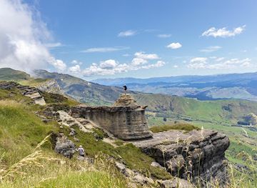 new-zealand/hawke-s-bay/attraction/boundary-stream-mainland-island-reserve