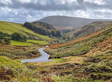 united-kingdom/westmorland/attraction/forest-of-bowland