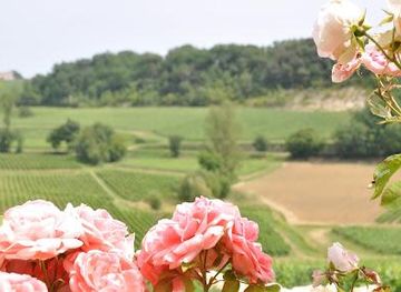 france/bordeaux/attraction/chateau-godeau