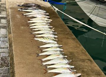 maldives/vaavu-atoll/attraction/keyolhu-rakin-thila