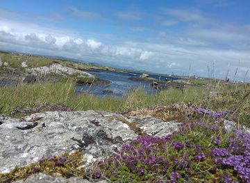 ireland/county-galway/attraction/ionad-oidhreachta-leitir-meallain-heritage-centre
