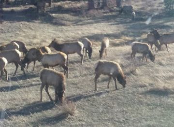 colorado/rocky-mountain-national-park/attraction/wilderness-permit-office