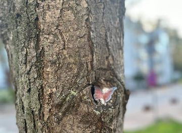 poland/sopot/attraction/maryjkale-street-art-tour