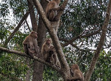 cambodia/kampot-province/attraction/view-point