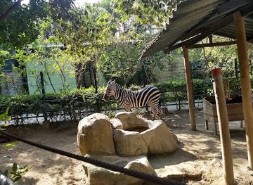 colombia/barranquilla/miramar/attraction/zoologico-de-barranquilla