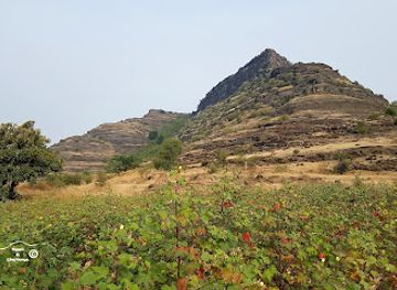 india/northern-plains/attraction/kankarala-fort