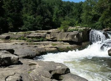 alabama/dismals-canyon/attraction/bear-creek-canoe-run