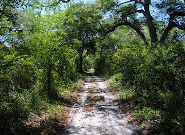 kenya/northern-frontier-district/attraction/arabuko-sokoke-national-reserve