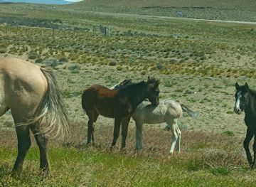 chile/patagonia/attraction/cartel-region-patagonia