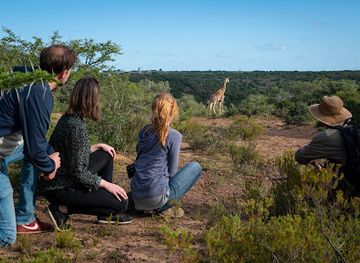 south-africa/addo-elephant-national-park/attraction/giraffe-adventures