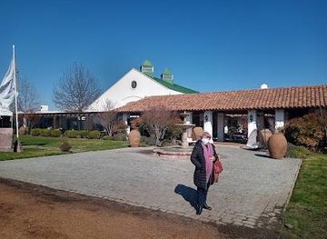 chile/vina-del-mar/attraction/winery-casas-del-bosque