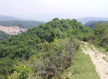 kyrgyzstan/tian-shan-mountains/attraction/walnut-forest