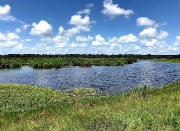 florida/lake-okeechobee/attraction/taylor-creek-stormwater-treatment-area-nature-trail-wildlife-preservation-area