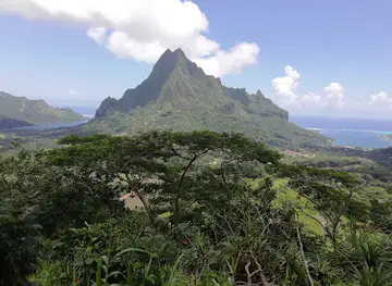 Vallée d'Opunohu