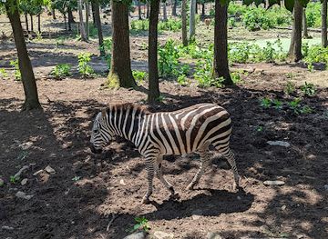 maryland/catoctin-mountain-area/attraction/catoctin-wildlife-preserve