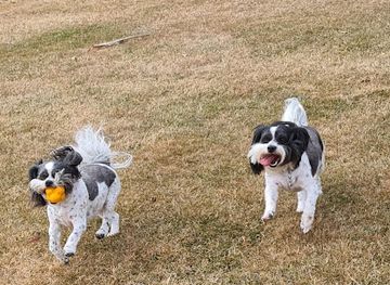 new-zealand/whanganui/attraction/hussey-reserve