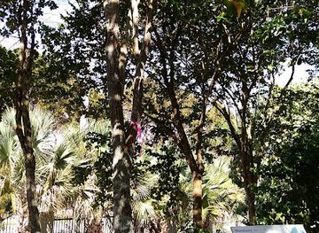 puerto-rico/san-juan-metropolitan-area/attraction/ruta-sabado