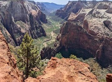 utah/mt-carmel/attraction/observation-point