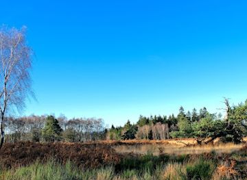 belgium/spa/attraction/fagne-james