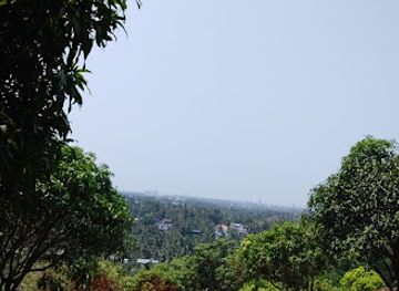 india/kozhikode/attraction/eravathkunnu-mango-park