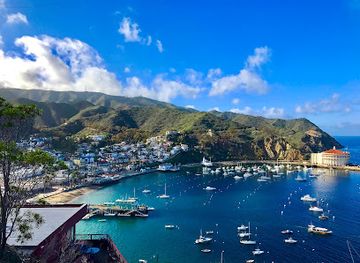 california/santa-catalina-island/attraction/buena-vista-point-scenic-overlook