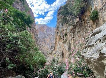 greece/chania/attraction/aradena