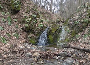 serbia/fruska-gora-national-park/attraction/srneci-vodopad