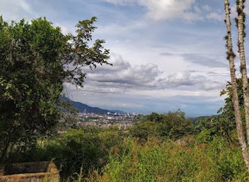 colombia/ibague/attraction/orquideas-del-tolima